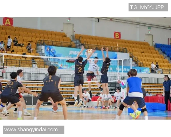 2026排球配合排名:北京排球队创新高 2026排球配合排名:北京排球队创新高